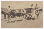An Ox Cart, St. Vincent, C. V. by Bon Marché
