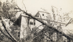 House Damaged by Fallen Trees, East Side of Providence. by Zenas Kevorkian