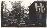 Fallen Tree on Prospect Street, East Side of Providence. by Zenas Kevorkian
