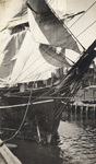 The Wanderer, New Bedford Whaler by Wilfred E. Stone