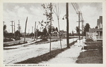 Buttonwoods Ave, Oakland Beach, R.I. by F.E. Booth. Oakland Beach, R.I.